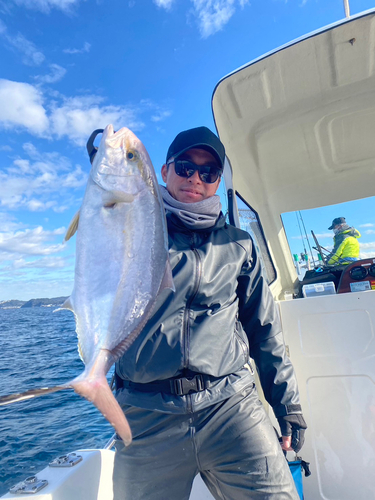 ショゴの釣果