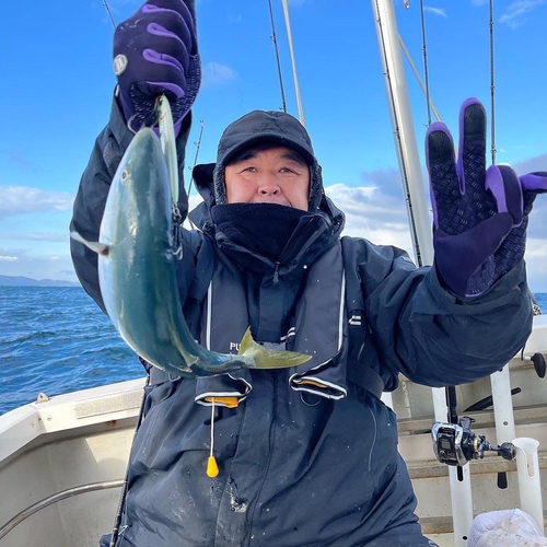 ツバスの釣果