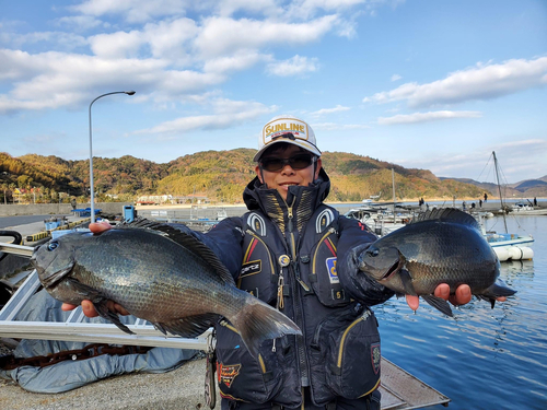 クロの釣果