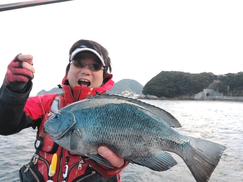 グレの釣果