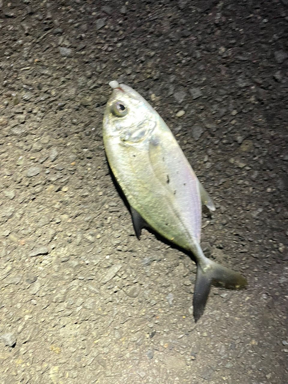 メッキ