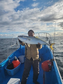 ブリの釣果