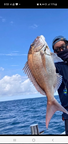 アマダイの釣果