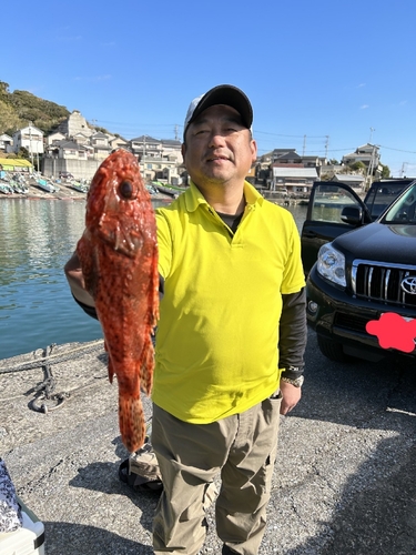 オニカサゴの釣果