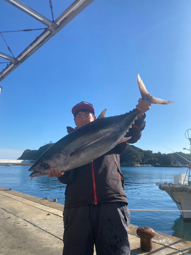 ビンチョウマグロの釣果