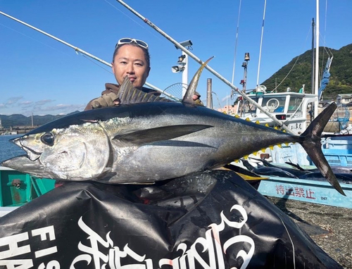 キハダマグロの釣果