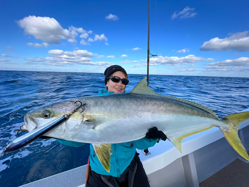 ヒラマサの釣果