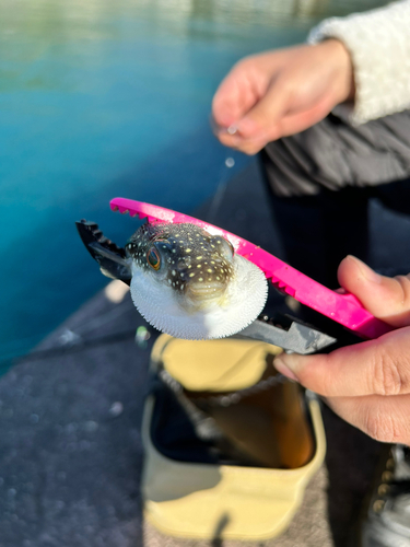 釣果