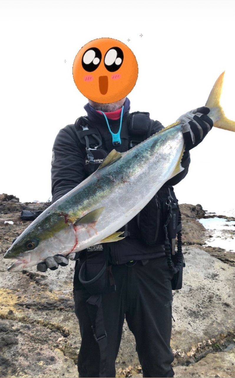 ブリ