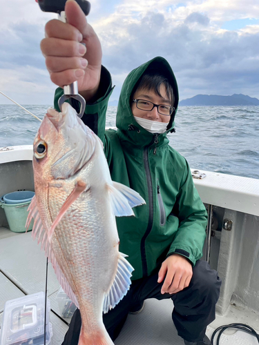 マダイの釣果