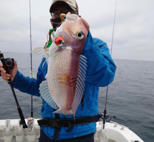 アカアマダイの釣果