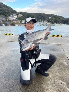 チヌの釣果