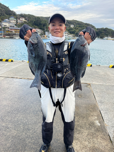 メジナの釣果