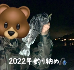 クロソイの釣果