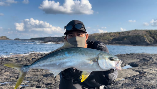 ヒラマサの釣果