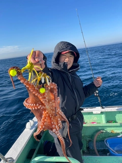 マダコの釣果