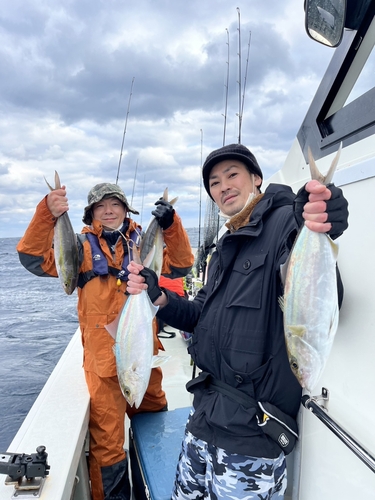 カンパチの釣果