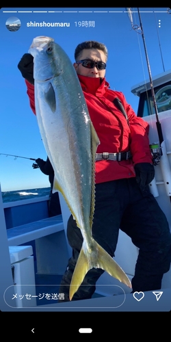 ワラサの釣果