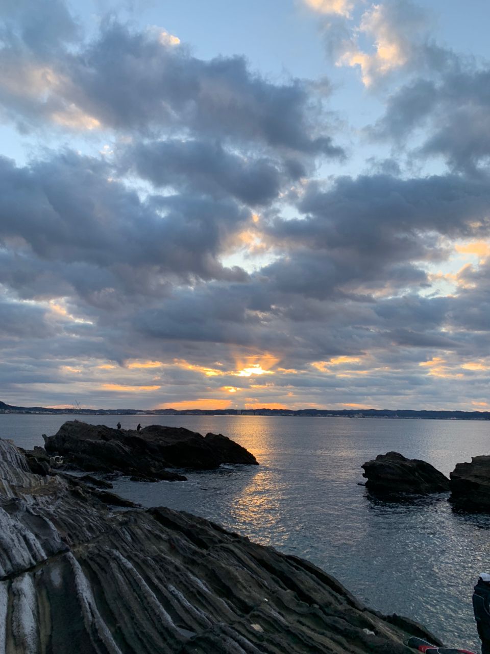 クサの上のフグさんの釣果 3枚目の画像
