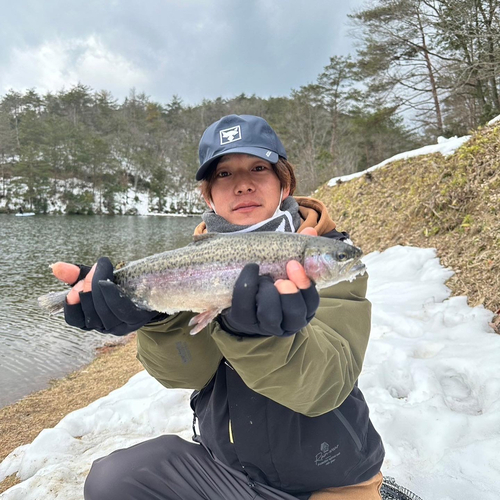 ニジマスの釣果