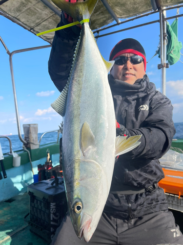 ハマチの釣果