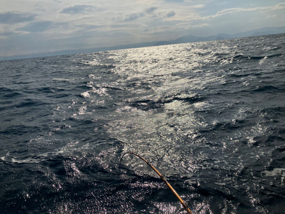 おばちゃんだって釣りしたいさんの釣果 2枚目の画像