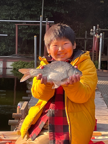 ヘラブナの釣果