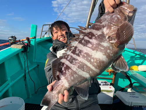 マハタの釣果