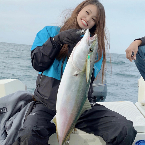 ブリの釣果