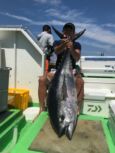 キハダマグロの釣果