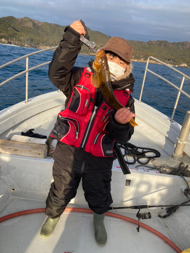 アイナメの釣果