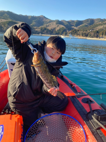 アイナメの釣果