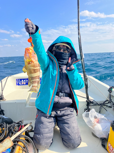 アオハタの釣果