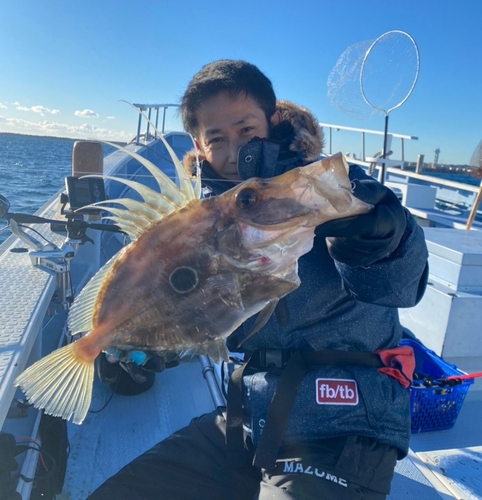 マトウダイの釣果