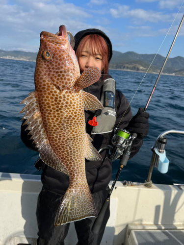 オオモンハタの釣果