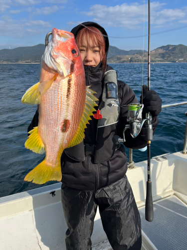 ヨコスジフエダイの釣果