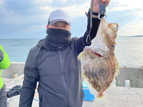 マトウダイの釣果