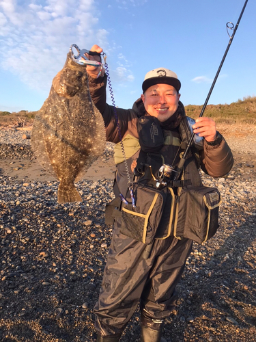 ヒラメの釣果