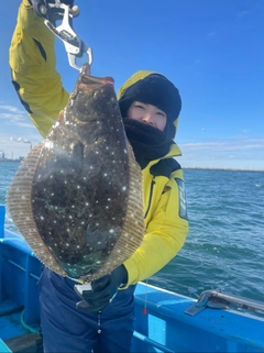 ヒラメの釣果