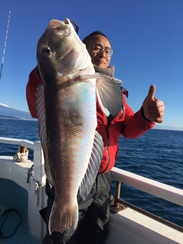 シロアマダイの釣果