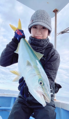 ブリの釣果