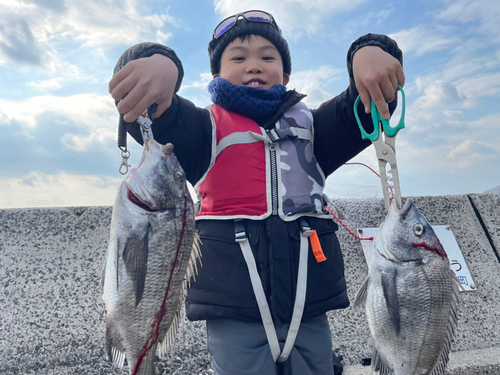 チヌの釣果