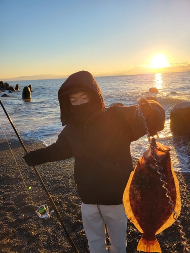 ヒラメの釣果