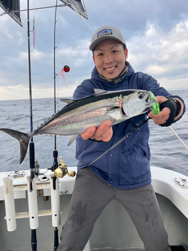 クロマグロの釣果