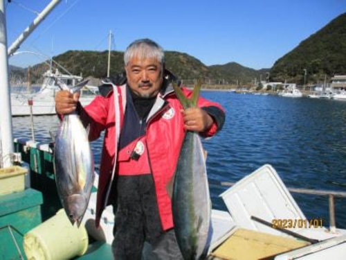 イワシの釣果