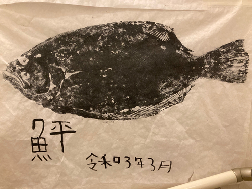 ヒラメの釣果