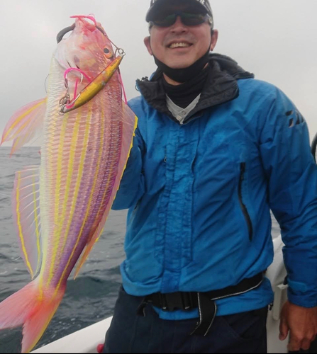 イトヨリダイの釣果