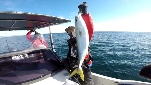 ワラサの釣果