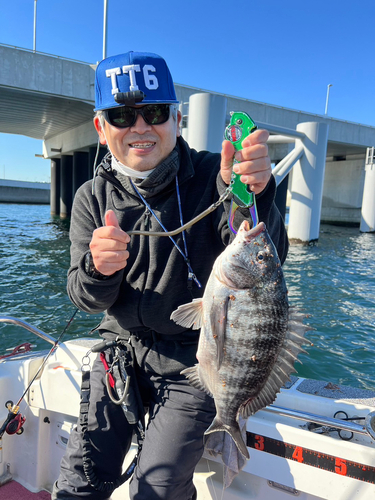 クロダイの釣果