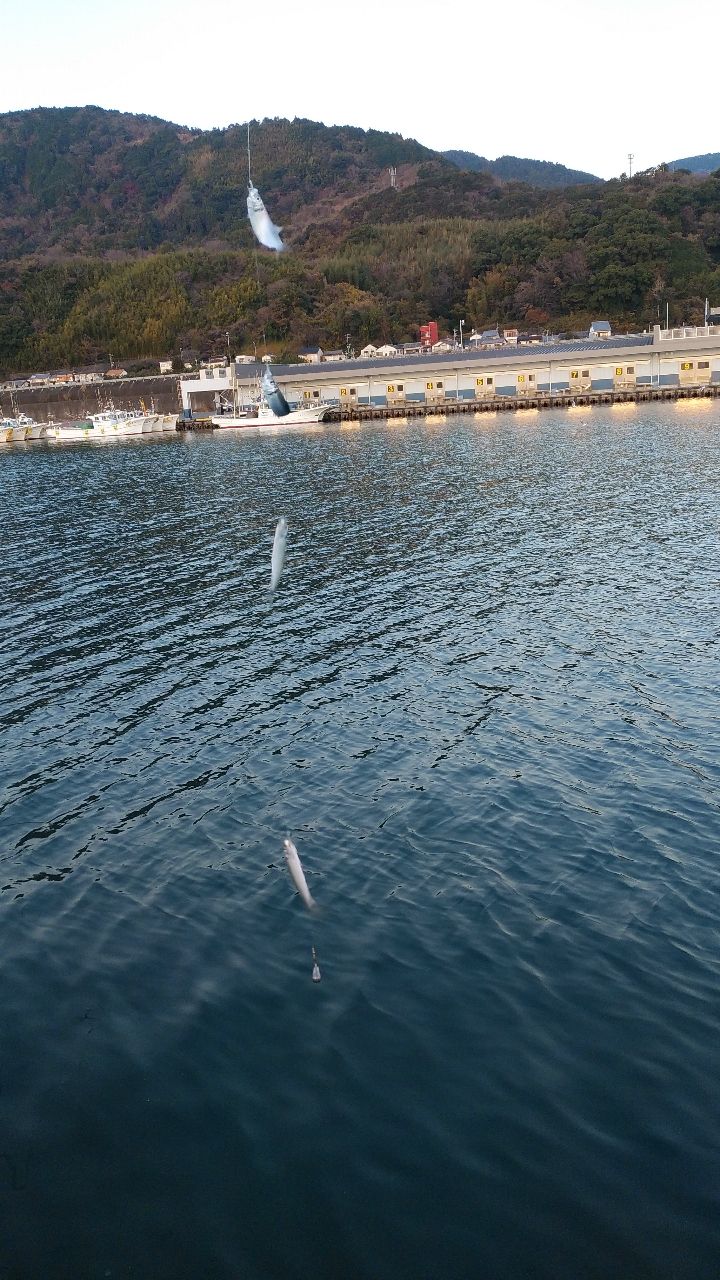 サッパ